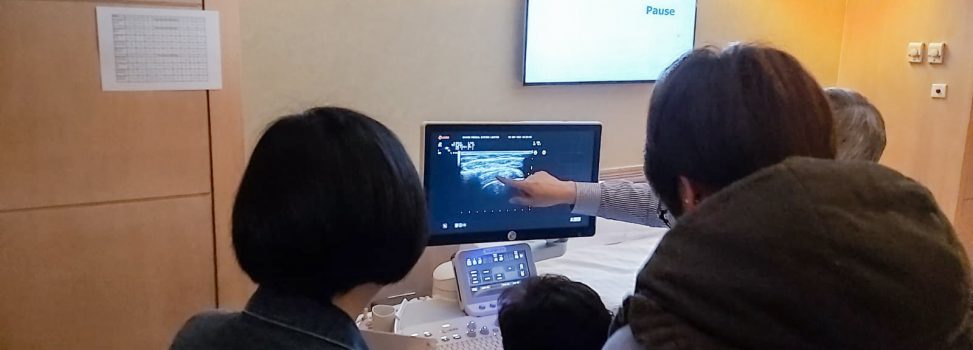 Basic MSK ulatrsound WS of ICCR 2019