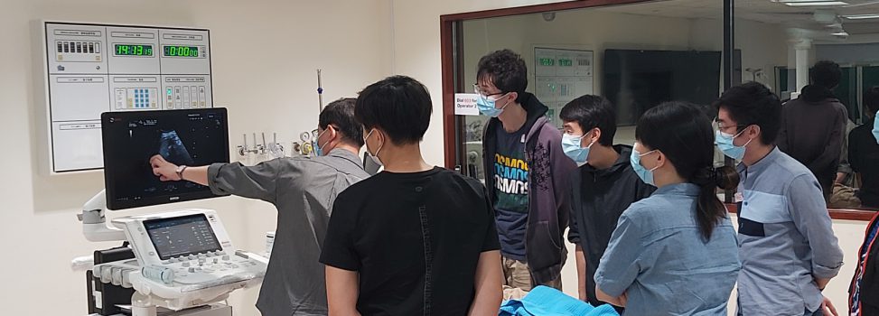 Basic Ultrasound Training 2021
