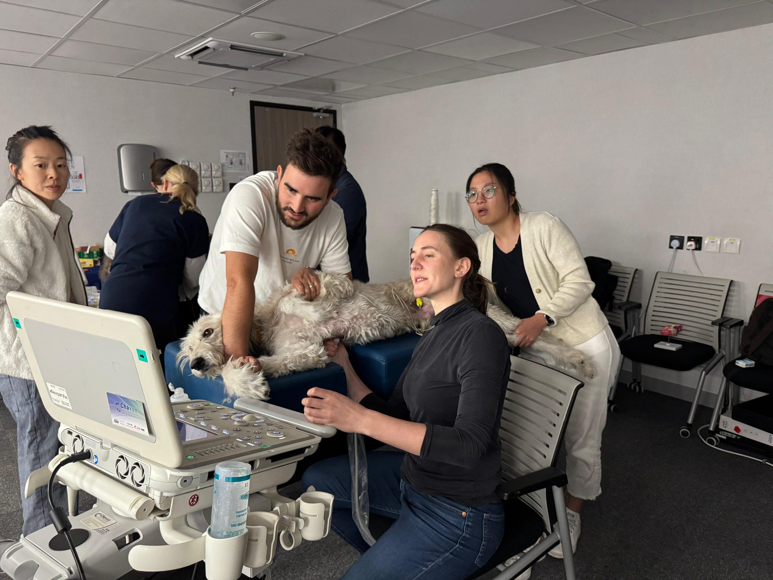 09.12.2024 ~ 10.12.2024 – HKVA small animal Cardiac Ultrasound workshop