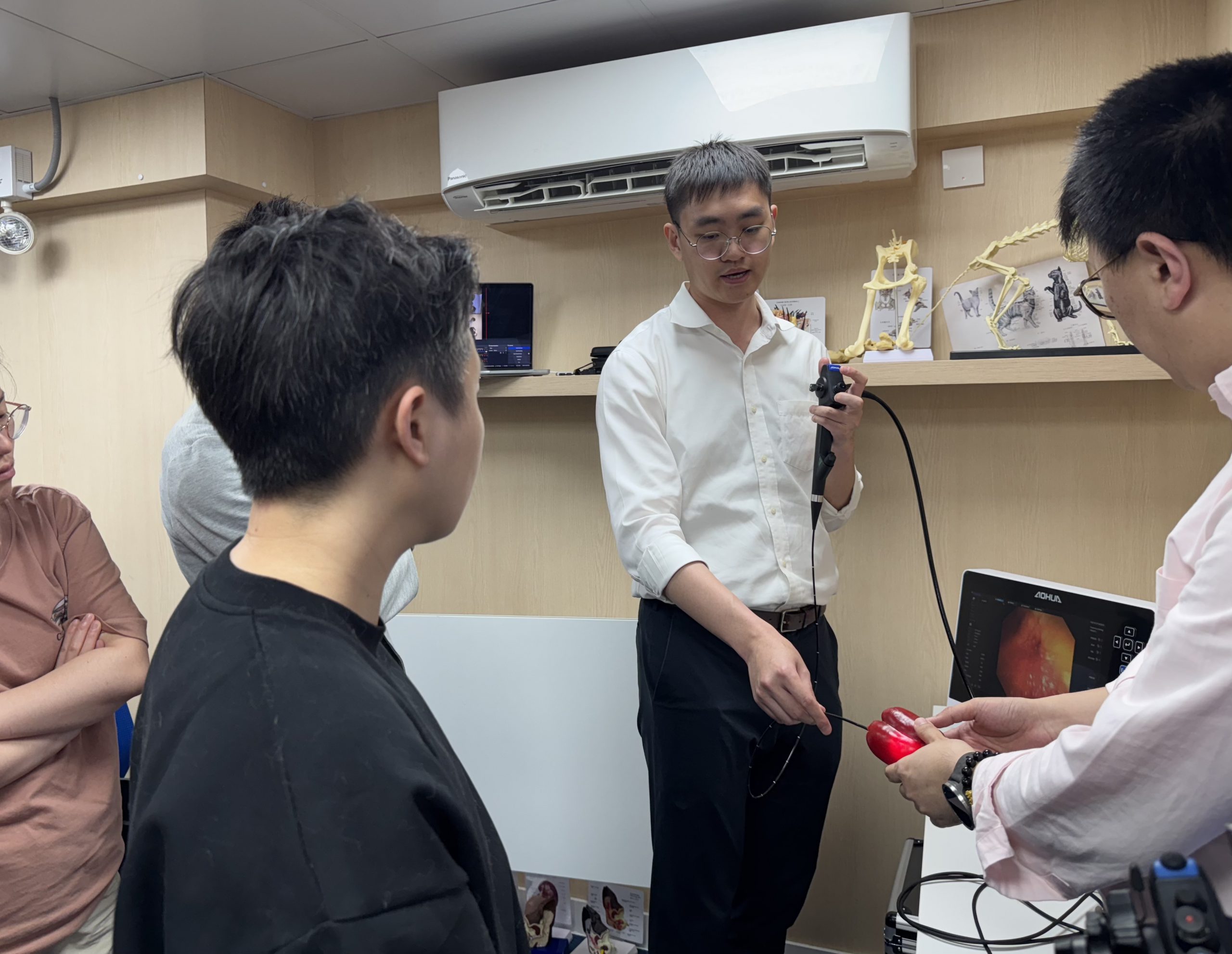 2025.03.27 Flexible and rigid endoscopy in small animal practice