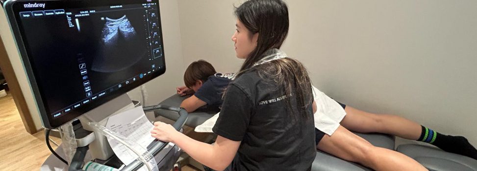 12-13.04.2025 Introductory Musculoskeletal Ultrasound Imaging in the Physiotherapist Perspective
