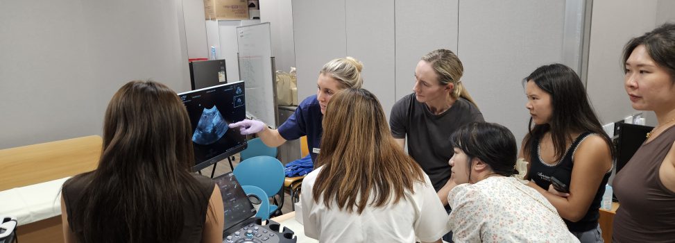 CityU VMC ultrasound workshop 2026