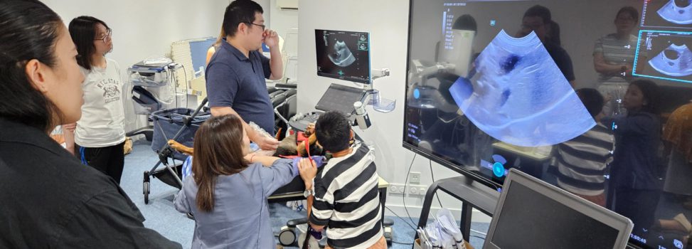 Pets Central Abdo Ultrasound workshop