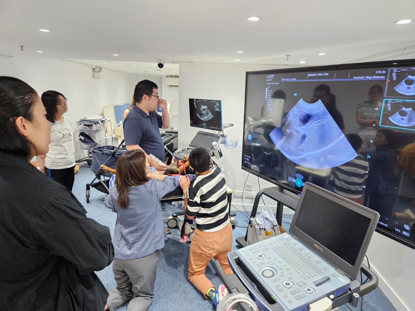 Pets Central Abdo Ultrasound workshop